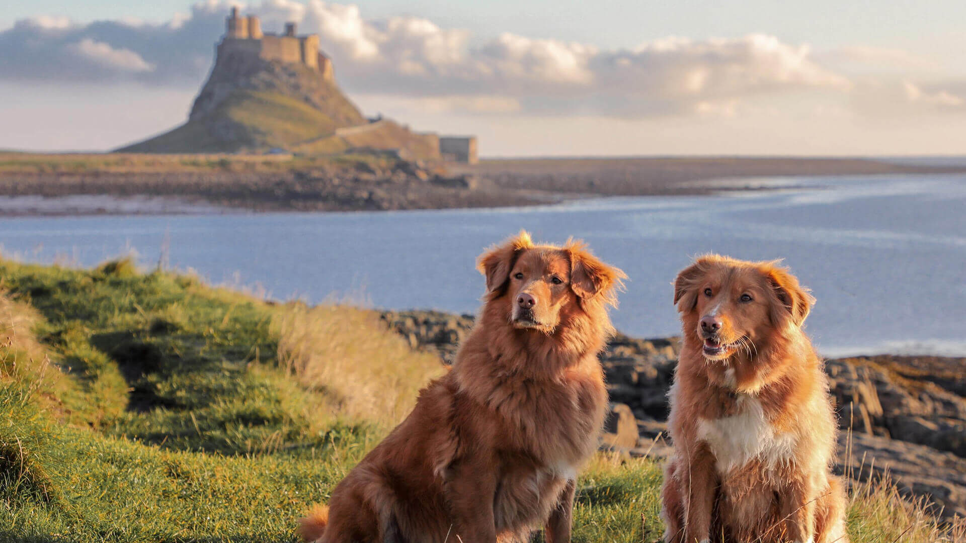 Back in Tyne & Northumbria 