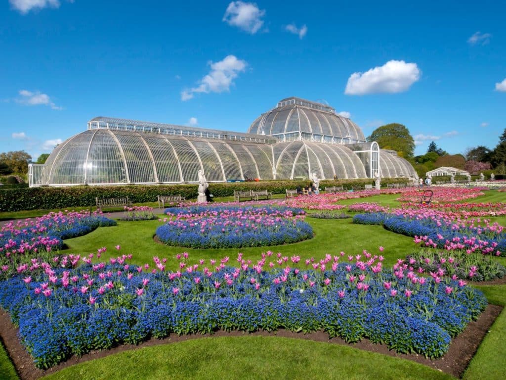 Kew & Wisley Gardens 