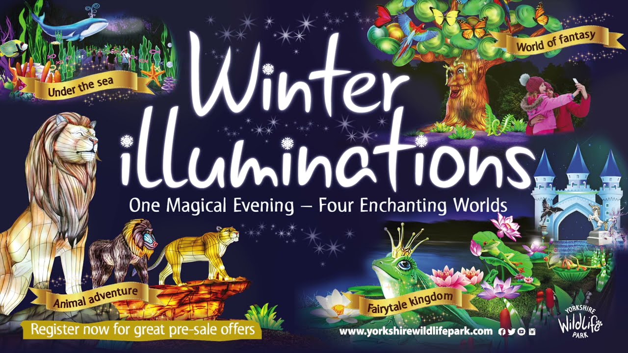 Yorkshire Wildlife Park illuminations